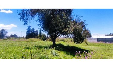Terreno venta en amaxac de Guerrero Tlaxcala