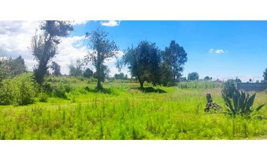 Terreno venta en amaxac de Guerrero Tlaxcala