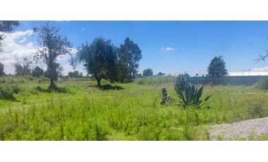 Terreno venta en amaxac de Guerrero Tlaxcala