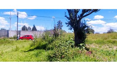 Terreno venta en amaxac de Guerrero Tlaxcala