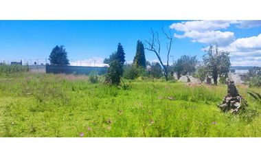 Terreno venta en amaxac de Guerrero Tlaxcala