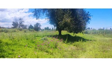 Terreno venta en amaxac de Guerrero Tlaxcala