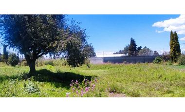 Terreno venta en amaxac de Guerrero Tlaxcala