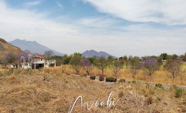 Terreno  vista Panorámica en venta SANTA SOFIA Coto Tequilero