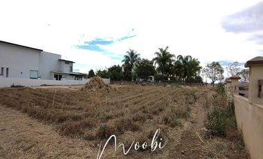 Terreno  vista Panorámica en venta SANTA SOFIA Coto Tequilero