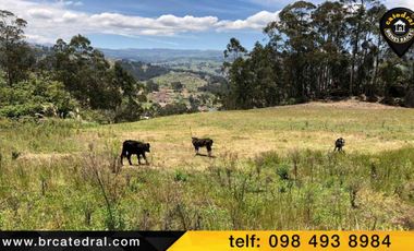 Terreno de venta en Cojitambo – código:15216