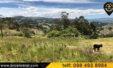 Terreno de venta en Cojitambo – código:15216