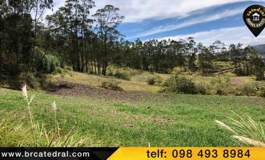 Terreno de venta en Cojitambo – código:15216