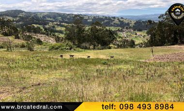 Terreno de venta en Cojitambo – código:15216