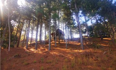 VENTA DE CASA EN ALTOS DEL MARIA