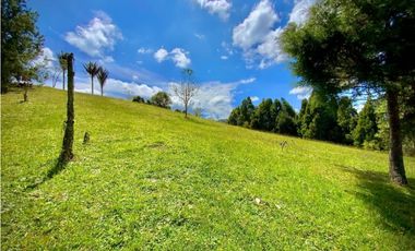 Venta Lote Parcelacion Alto Palmas (Envigado)