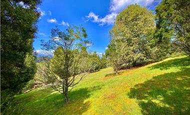 Venta Lote Parcelacion Alto Palmas (Envigado)