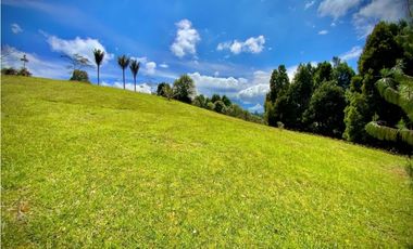 Venta Lote Parcelacion Alto Palmas (Envigado)