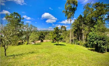 Venta Lote Parcelacion Alto Palmas (Envigado)