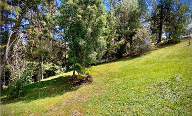 Venta Lote Parcelacion Alto Palmas (Envigado)