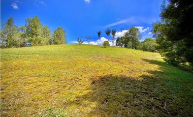 Venta Lote Parcelacion Alto Palmas (Envigado)