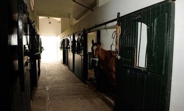 Casa de 5 ambientes en alquiler temporario en General Rodriguez