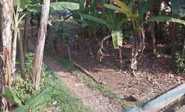 Tanah 833 m2 di jalan jati, sawangan baru, depok