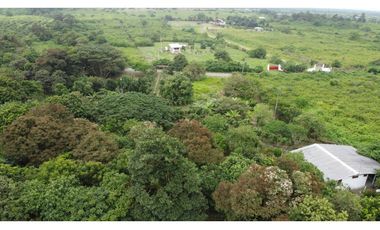 🌴 Se vende Quinta, Pacoche Manta! 3 hectáreas.
