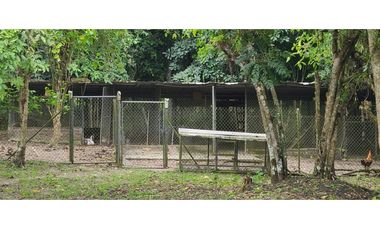 🌴 Se vende Quinta, Pacoche Manta! 3 hectáreas.