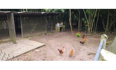 🌴 Se vende Quinta, Pacoche Manta! 3 hectáreas.