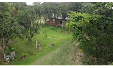 🌴 Se vende Quinta, Pacoche Manta! 3 hectáreas.