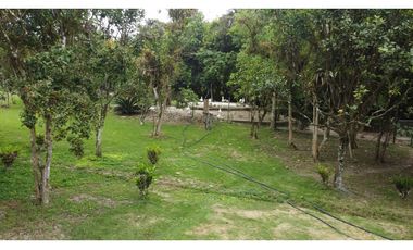 🌴 Se vende Quinta, Pacoche Manta! 3 hectáreas.