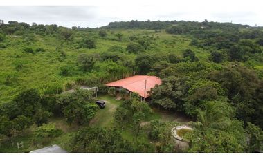 🌴 Se vende Quinta, Pacoche Manta! 3 hectáreas.