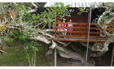 🌴 Se vende Quinta, Pacoche Manta! 3 hectáreas.