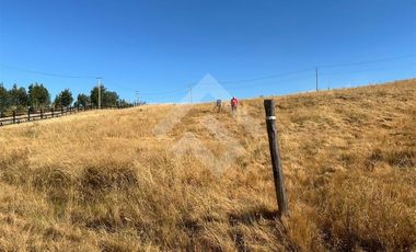 Parcela en Venta en Angol - Villa Trinte