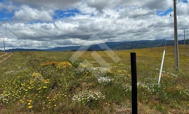 Parcela en Venta en Angol - Villa Trinte