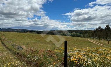 Parcela en Venta en Angol - Villa Trinte