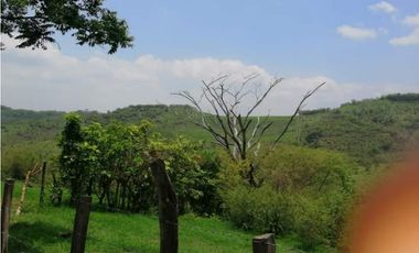 RANCHO DOBLE PROPOSITO EN JIQUIPILAS
