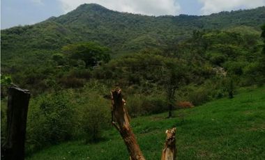 RANCHO DOBLE PROPOSITO EN JIQUIPILAS