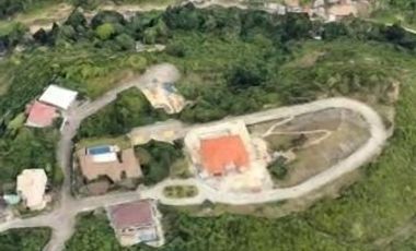 Prime Lot 1,350 sqm Overlooking Ocean and City (very nice View) in Maria Luisa Estate Park
