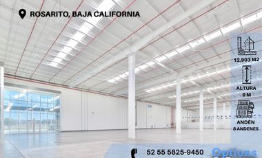 Rental of industrial property in Baja California