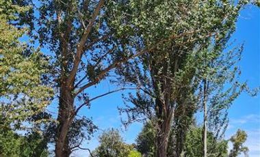 Sitio en Venta en km 1 Camino Antuco