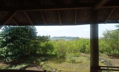 Tanah Kebun Produktif di Jayagiri Lembang Bandung Barat