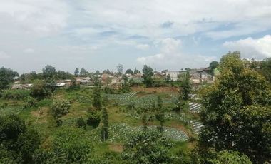 Tanah Kebun Produktif di Jayagiri Lembang Bandung Barat