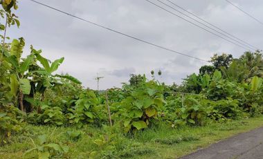 TANAH MURAH DI PAJANGAN BANTUL COCOK UNTUK KAVLING PERUMAHAN