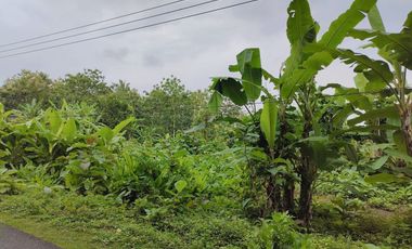 TANAH MURAH DI PAJANGAN BANTUL COCOK UNTUK KAVLING PERUMAHAN