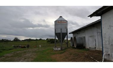 GRANJA AGRCOLA LA CHORRERA