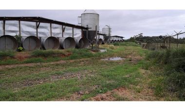 GRANJA AGRCOLA LA CHORRERA