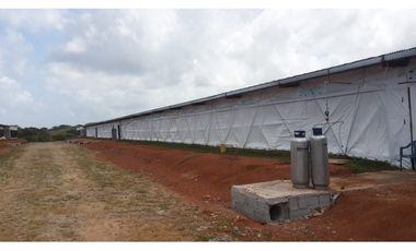 GRANJA AGRCOLA LA CHORRERA