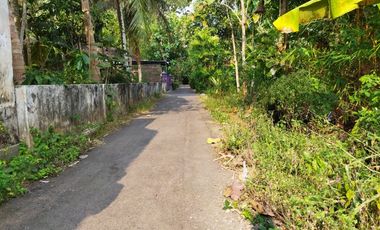 Rumah Nyaman, Legalitas Jelas SHM Hunian Minimalis Area Pingitan