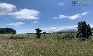 Agrícola en Venta en Camino a Ensenada