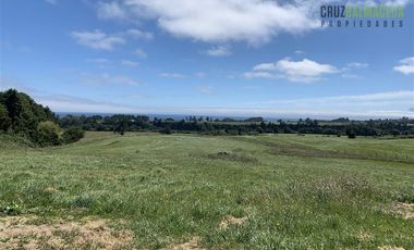 Agrícola en Venta en Camino a Ensenada