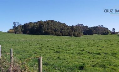 Agrícola en Venta en Camino a Ensenada