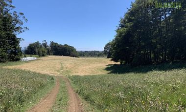 Agrícola en Venta en Camino a Ensenada