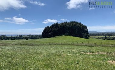 Agrícola en Venta en Camino a Ensenada